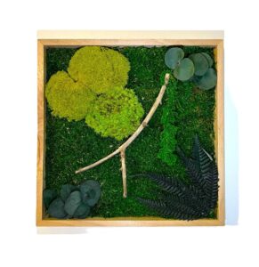 Machový obraz 3D je skvelou voľbou! Tento jedinečný obraz vyrobený z prírodného stabilizovaného machu vytvára dokonalú harmóniu a pokoj vo vašom domove. Bez potreby údržby a zalievania si zachová svoju krásu po dlhú dobu, čo z neho robí ideálny ekologický doplnok pre moderné aj prírodne ladené interiéry.