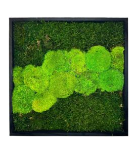 Machový obraz Quad je ideálnou voľbou! Tento jedinečný obraz z prírodného stabilizovaného machu prináša prírodný nádych, ktorý vytvára harmonickú a pokojovú atmosféru vo vašom dome.