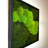 Tento jedinečný obraz z prírodného stabilizovaného machu prináša prírodný nádych, ktorý vytvára harmonickú a pokojovú atmosféru vo vašom dome. Bez potreby údržby a zalievania si zachováva svoju krásu dlhodobo, čo z neho robí dokonalý ekologický a minimalistický doplnok.