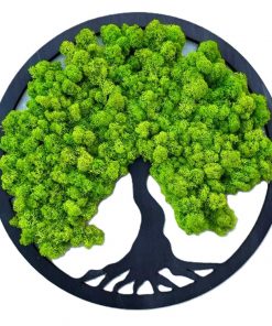 Machový obraz - so stabilizovaným lišajníkom je jedinečný prírodný doplnok, ktorý do vášho interiéru prinesie harmóniu a pokoj. Vyrobený z prírodného stabilizovaného machu a lišajníka, tento obraz si zachováva svoju sviežu krásu bez potreby údržby. Symbol stromu života prinesie do vášho domova pozitívnu energiu a vyváženosť. Ideálny pre moderné aj prírodne ladené priestory, tento obraz vytvára upokojujúcu atmosféru bez náročnej starostlivosti.