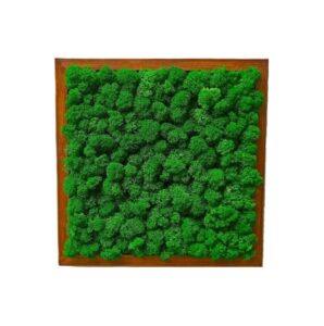 Machový obraz - liš je skvelou voľbou! Tento jedinečný obraz z prírodného stabilizovaného machu prináša harmóniu a pokoj do vášho domova. Bez potreby údržby a zalievania si zachováva svoju krásu a sviežosť po dlhú dobu, čím je ideálnym ekologickým doplnkom pre moderné aj prírodne ladené interiéry.