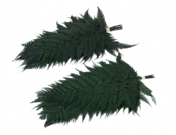 Stabilizovaná papraď - tmavozelená