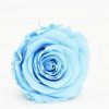 Stabilizovaná ruža Kiara XL - svetlo modrá