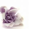 Stabilizované kvety Gardenia - bielo fialová
