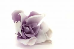 Stabilizované kvety Gardenia - bielo fialová