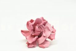 Stabilizované kvety Gardenia - ružová