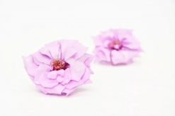 Stabilizovaná ruža divoká - fialová