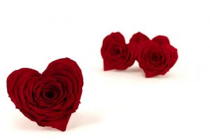 Stabilizovaná ruža hlávka Srdce - červená