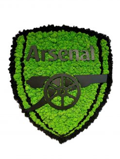 Machové logo - ARSENAL