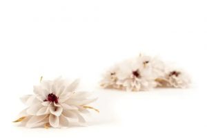 Stabilizované kvety Dahlia - biele