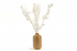 Stabilizované rastliny ruscus - biela