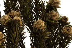 Stabilizovaná kytica Tortum - žltá