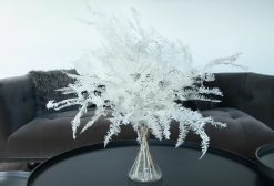 Stabilizovaná horská papraď veľká - biela