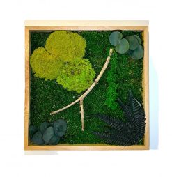 Moderný machový obraz s 3D rastlinami vytvára prirodzenú hĺbku a nadčasovú atmosféru. Vyrobíme ho ručne na Slovensku a bez údržby ti vydrží dlhé roky.