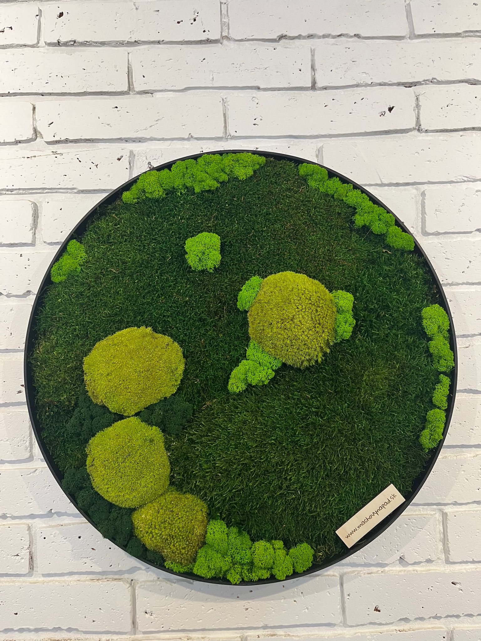 Machový kruh harmónie prináša do interiéru nielen estetiku, ale aj pokoj a prírodnú atmosféru, ktorá vytvára vyvážené prostredie a nikdy nestratí svoju sviežosť.