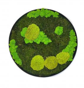 Machový kruh harmónie prináša do interiéru nielen estetiku, ale aj pokoj a prírodnú atmosféru, ktorá vytvára vyvážené prostredie a nikdy nestratí svoju sviežosť.