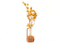 Sušené kvety Bougainvillea Branch - oranžová