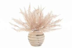 Stabilizovaná horská papraď - ružová