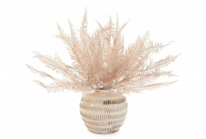 Stabilizovaná horská papraď - ružová