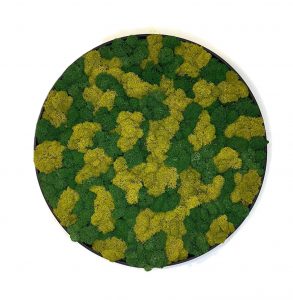 Kruh lišajník mix dark prináša do priestoru nielen vizuálnu krásu, ale aj pokoj, prírodnú harmóniu a výnimočnú atmosféru, ktorá nikdy nevybledne.