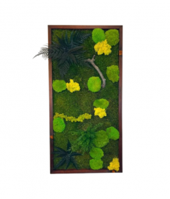 Tento machový obraz s rastlinami 3D Dark neprináša iba vizuálnu krásu, ale aj pocit spojenia s prírodou. Po zavesení na stenu premení obyčajný priestor na miesto, ktoré dýcha pokojom, sviežosťou a prirodzenou harmóniou – presne tak, ako dokáže len kúsok živej prírody priamo vo vašom interiéri.