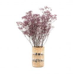 Stabilizované kvety Gypsophila - fialová