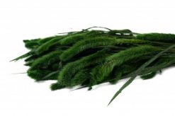 Stabilizovaná setaria - zelená