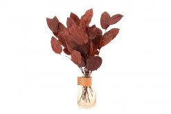 Stabilizované listy salal - červená