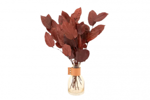 Stabilizované listy salal - červená