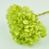 Stabilizované kvety Hortenzia - zelená