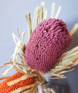 Sušené kvety - Banksia - ružová