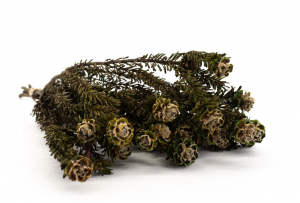 Stabilizovaná kytica Tortum - zelená