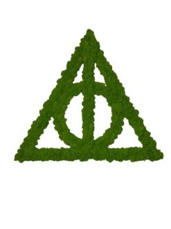 Machový obraz - Harry Potter