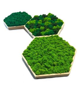 Machové trio – Hexagony ti neprináša iba dekoráciu, ale aj kúsok prírody, ktorý premení každý priestor na harmonické a príjemné miesto. Každý pohľad naň ti pripomenie spojenie s prírodou a dodá energiu, ktorá nikdy nestratí svoju sviežosť. Či už hľadáš originálny darček, alebo chceš skrášliť svoj interiér niečím výnimočným, hexagóny predstavujú ideálnu voľbu.