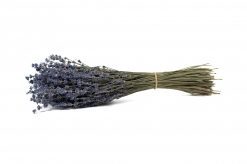 Levanduľa - sušená