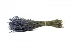 Levanduľa - sušená