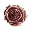 Stabilizovaná ruža – Rose Gold