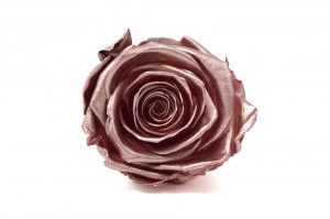 Stabilizovaná ruža – Rose Gold