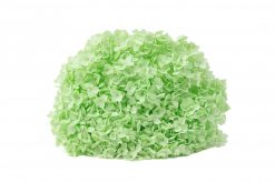 Stabilizované kvety Hortenzia - pistáciová