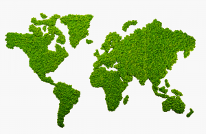 Táto dekorácia neponúka iba vizuálnu krásu, ale aj pocit spojenia s prírodou a s celým svetom. Keď si ju zavesíš na stenu, obklopíš sa energiou, ktorá nikdy nestratí svoju sviežosť a vždy ti pripomenie, že svet čaká na objavenie.