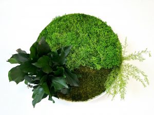 Keď si zavesíš kruh Lula na stenu, obklopíš sa energiou prírody, ktorá ti každý deň pripomenie, že harmónia a krása dokážu existovať priamo vo tvojom priestore.