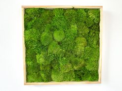 Táto dekorácia prináša do priestoru nielen vizuálnu krásu, ale aj pocit spojenia s prírodou. Keď ju zavesíš na stenu, obklopíš sa energiou, ktorá ostáva svieža a inšpirujúca každý deň.