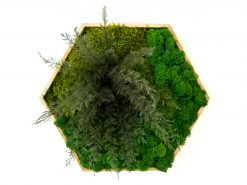 Hexagon Lisa ti prináša nielen modernú estetiku, ale aj spojenie s prírodou, ktoré pretrváva roky. Keď si ho zavesíš na stenu, obklopíš sa energiou, ktorá nikdy nestratí svoju sviežosť a neprestane inšpirovať.