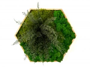 Hexagon Lisa ti prináša nielen modernú estetiku, ale aj spojenie s prírodou, ktoré pretrváva roky. Keď si ho zavesíš na stenu, obklopíš sa energiou, ktorá nikdy nestratí svoju sviežosť a neprestane inšpirovať.