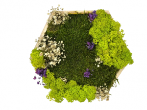 Machový hexagon Ela tak prináša nielen estetickú krásu, ale aj pocit pokoja a blízkosti prírody. Stačí ho zavesiť na stenu a tvoj priestor sa zmení na miesto plné harmónie a prirodzenej energie.