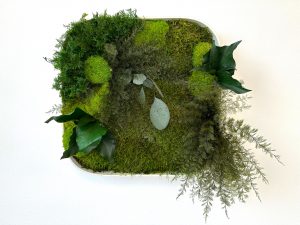 Táto dekorácia neprináša iba vizuálnu krásu, ale aj pocit spojenia s prírodou. Keď si ju zavesíš na stenu, obklopíš sa energiou, ktorá nikdy nestratí svoju sviežosť.