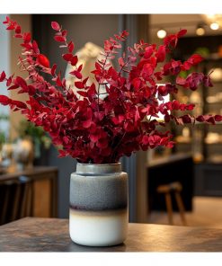 eucalyptus stuartiana stabilized red