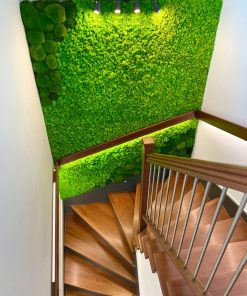 Machová stena - lišajník a kopčeky 80/20