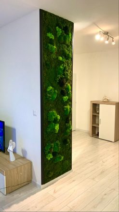 Machová stena - plochý, kopčekový, lišajník 70/20/10