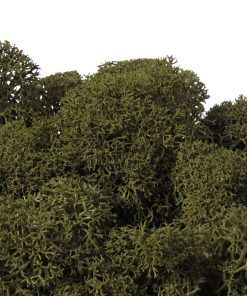 Keď si vyberieš fínsky lišajník v olivovej farbe, získaš nielen kvalitný prírodný materiál, ale aj možnosť vytvoriť dielo, ktoré vydrží roky bez akejkoľvek starostlivosti. Navyše každý projekt prinesie do interiéru unikátny kúsok prírody, ktorý nikdy nestratí svoju sviežosť a harmóniu.